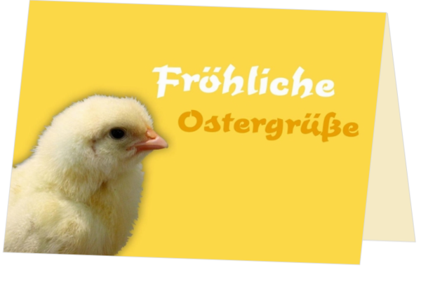 Individuelle Osterkarten so Ostern versenden - osterkarten-opp-15002