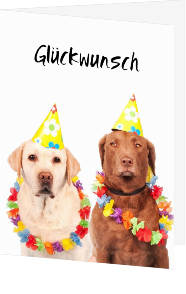 Geburtstagskarten-hund-mak-17053006g