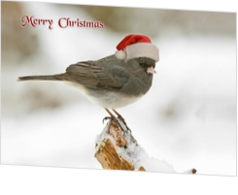 Gestalten und senden Sie Weihnachtskarten per Post  - weihnachtskarten-mak-160403 ek