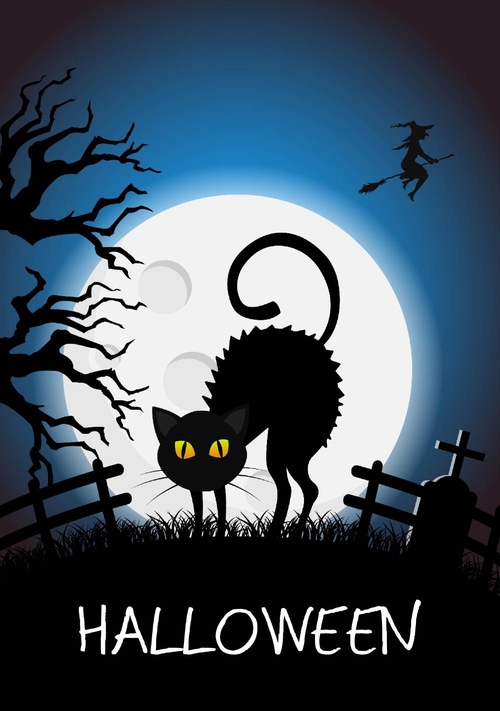 Halloween schwarze Katze Vorderseite